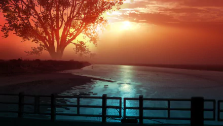 A magical fantasy scene of a glowing tree by a river at sunset, bathed in warm sunlight, captured in vivid 4K Ultra HD photography for a stunning PC desktop wallpaper.