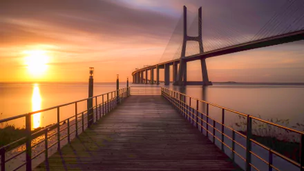 man made Vasco da Gama Bridge HD Desktop Wallpaper | Background Image
