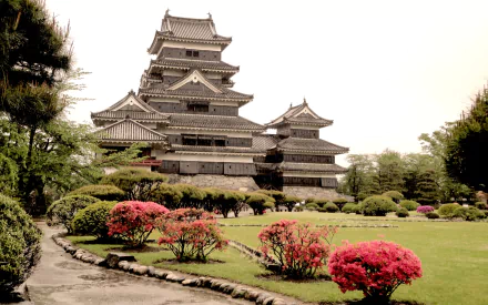 man made matsumoto castle HD Desktop Wallpaper | Background Image