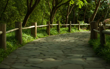 man made Golden Gate Park HD Desktop Wallpaper | Background Image
