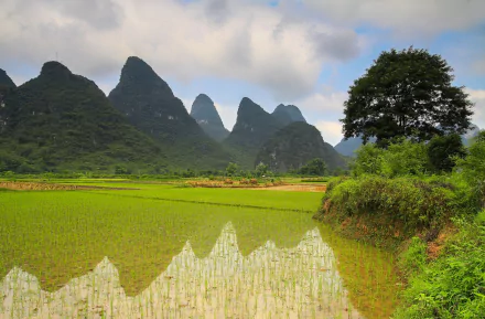 plantation nature mountain HD Desktop Wallpaper | Background Image