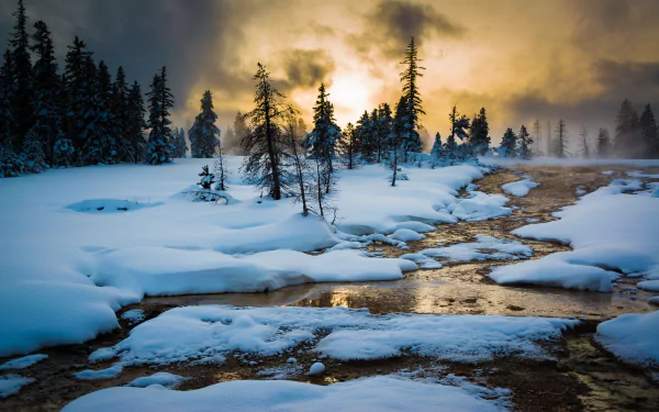 nature Yellowstone HD Desktop Wallpaper | Background Image