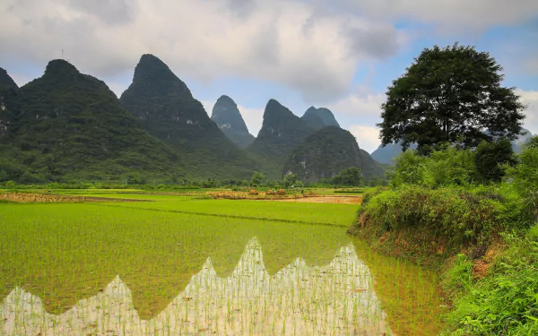 plantation nature mountain HD Desktop Wallpaper | Background Image