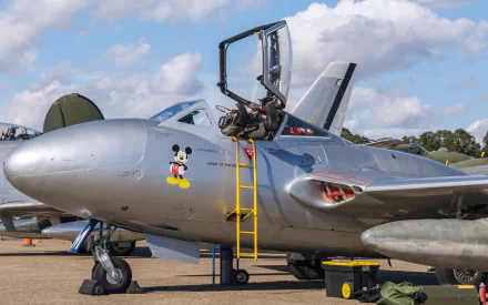 HD PC desktop wallpaper and background: military jet with Aircraft Nose Art, a playful cartoon mouse on a sleek silver fuselage, open cockpit with ladder under a bright blue sky.