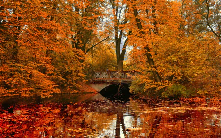 photography park HD Desktop Wallpaper | Background Image