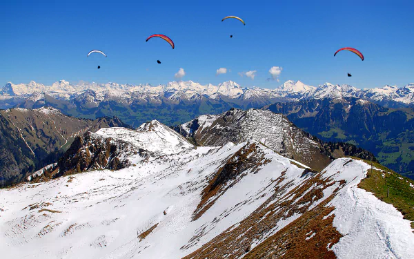 HD PC desktop wallpaper showing paragliders soaring over snow-covered mountain peaks under a clear blue sky, capturing the thrill of outdoor sports.