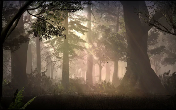 video game Garry's Mod HD Desktop Wallpaper | Background Image