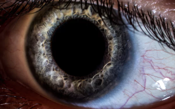 artistic eye HD Desktop Wallpaper | Background Image