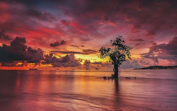 Photography Sunset Sea Ship Coast Tree Cloud HD Wallpaper | Background Image