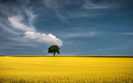 nature landscape HD Desktop Wallpaper | Background Image