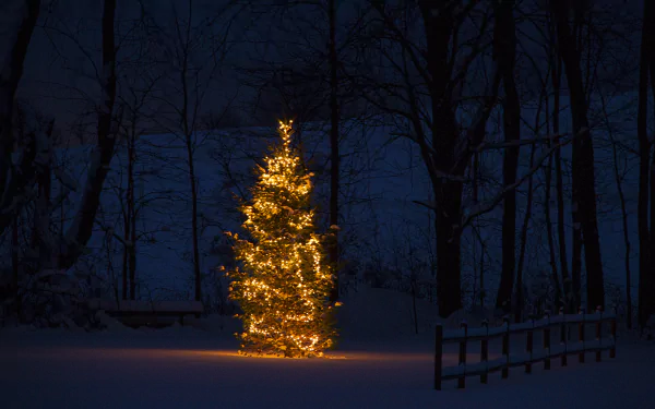 A glowing Christmas tree decorated with warm lights stands illuminated in a snowy forest at night, creating a festive holiday HD PC desktop wallpaper.