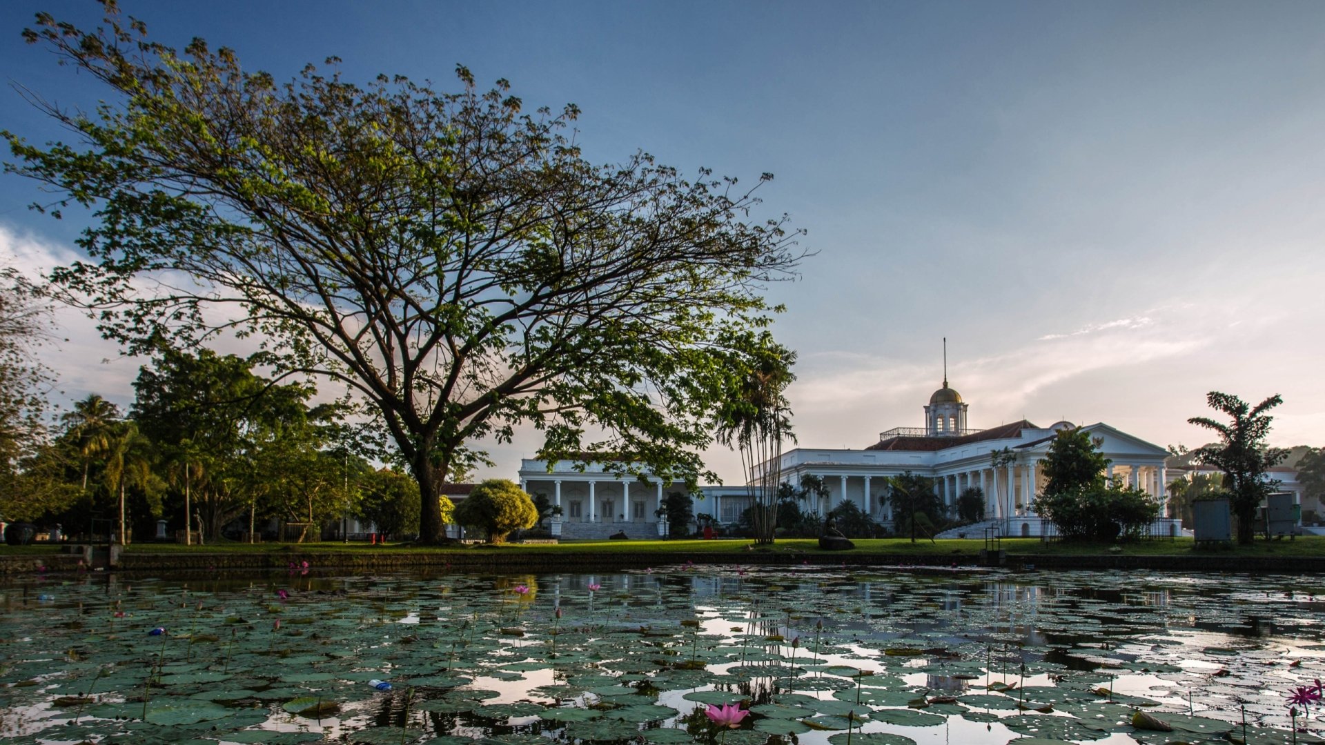 Bogor Palace Full HD Wallpaper and Background Image 2560x1440 ID 562552
