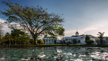 HD desktop wallpaper featuring the man-made Bogor Palace with a large tree and a pond filled with lily pads in the foreground under a clear sky.