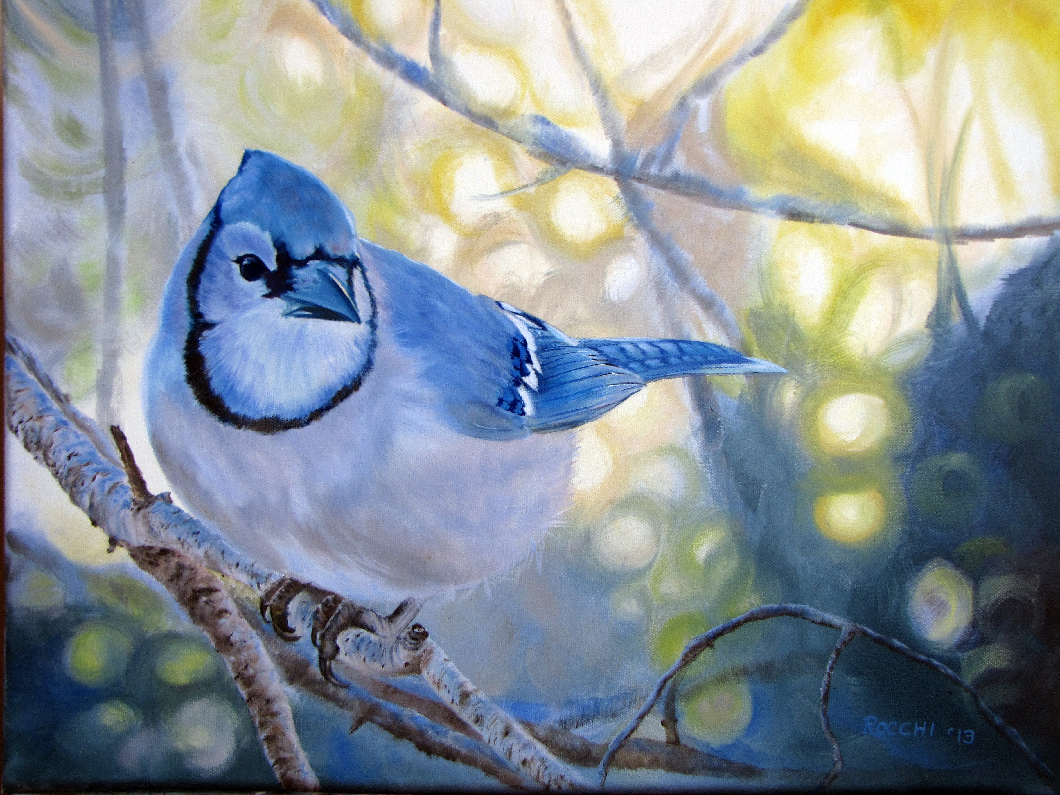 Animal Blue Jay HD Wallpaper | Background Image