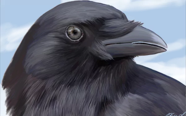 Animal raven HD Desktop Wallpaper | Background Image