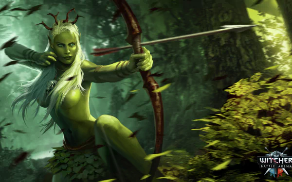 video game The Witcher: Battle Arena HD Desktop Wallpaper | Background Image