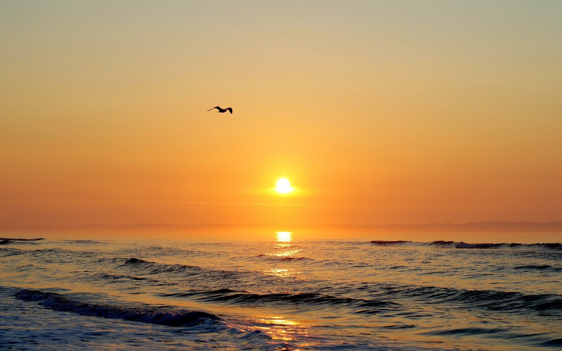 Download Nature Beach HD Wallpaper