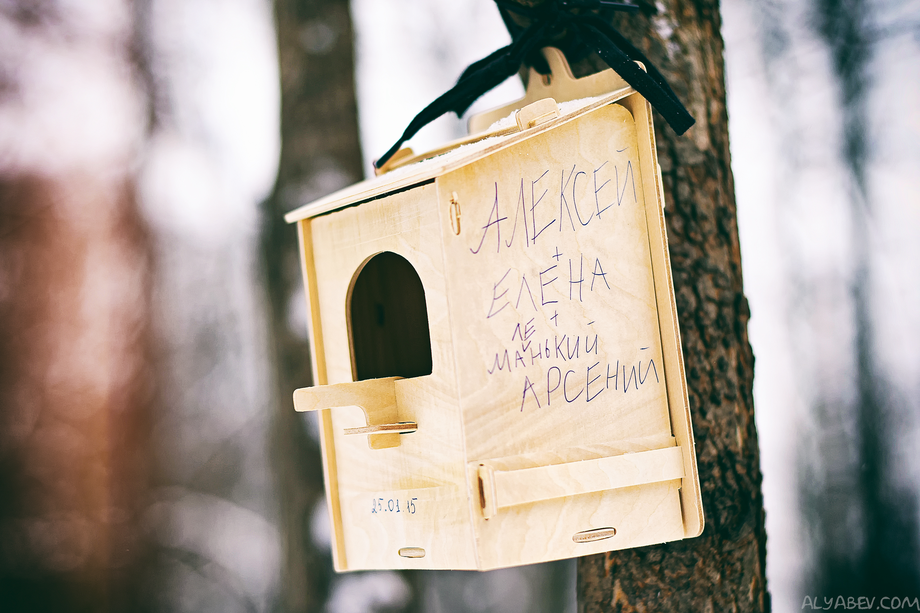 Man Made Bird House HD Wallpaper | Background Image