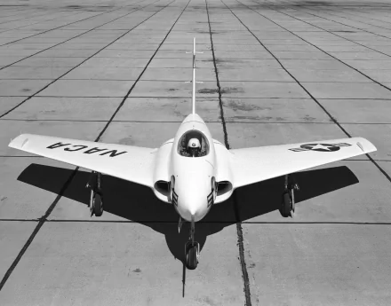 Black-and-white overhead view of a Northrop X-4 Bantam on a concrete tarmac, centered and symmetrical — 4K Ultra HD PC desktop wallpaper and background.