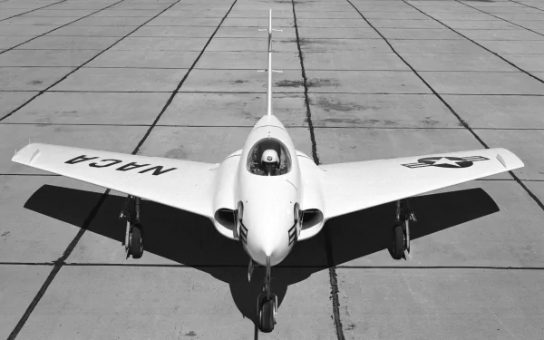 Black-and-white overhead view of a Northrop X-4 Bantam on a concrete tarmac, centered and symmetrical — 4K Ultra HD PC desktop wallpaper and background.