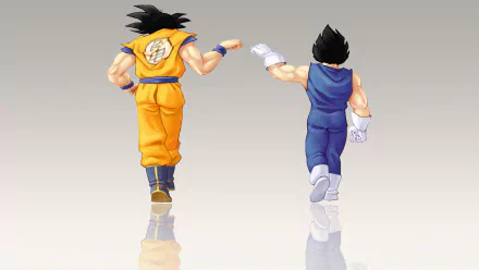 Anime-style HD Dragon Ball Z desktop wallpaper featuring Goku and Vegeta walking side by side with reflections on a smooth surface against a light background.