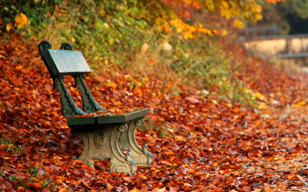man made bench HD Desktop Wallpaper | Background Image