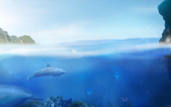 video game Ecco The Dolphin HD Desktop Wallpaper | Background Image