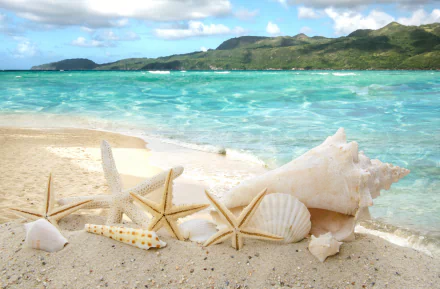 8K Ultra HD PC desktop wallpaper: nature scene of conch and scallop shells with starfish on a sandy shore, turquoise sea and green hills beneath a bright blue sky.
