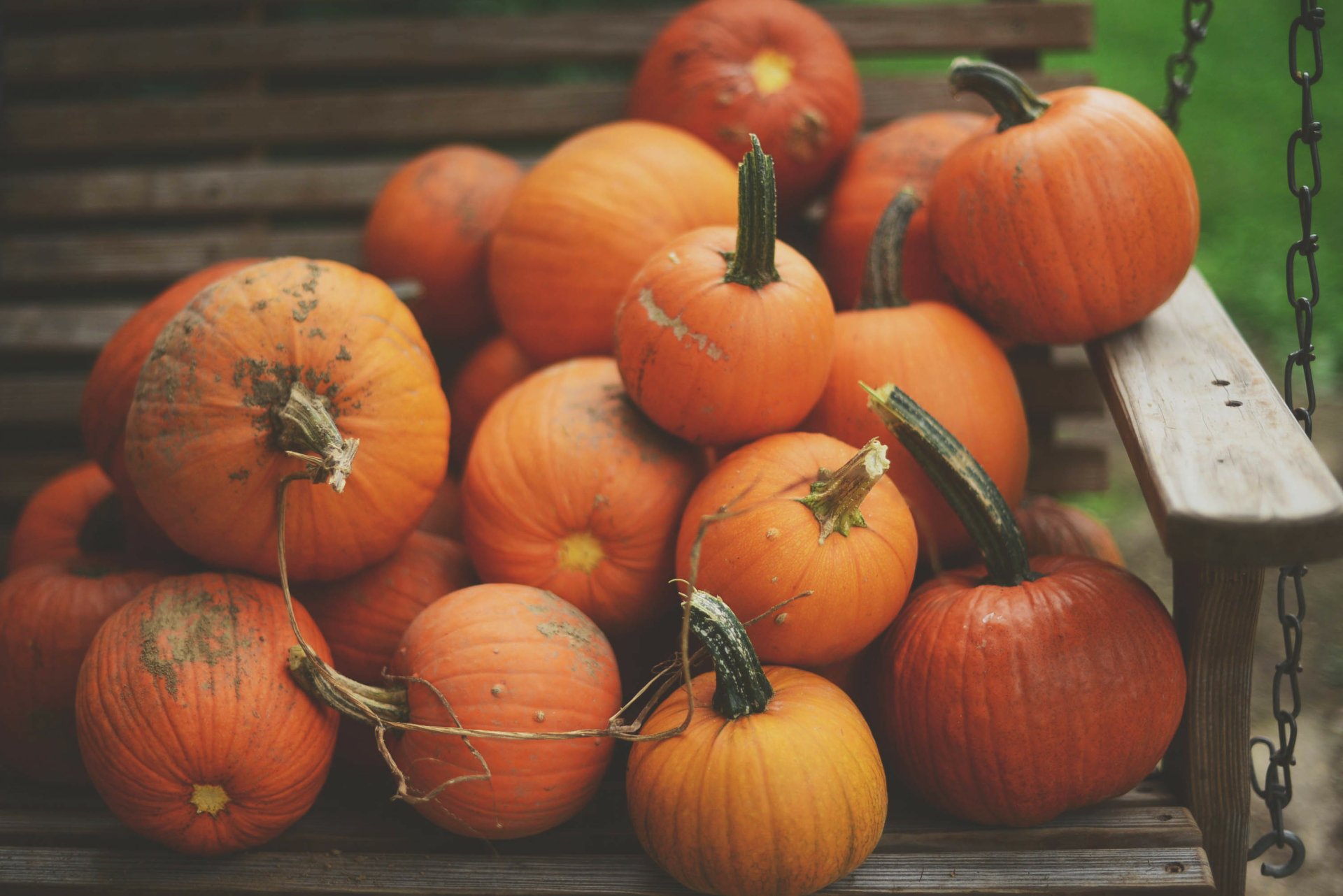 Download Food Pumpkin HD Wallpaper