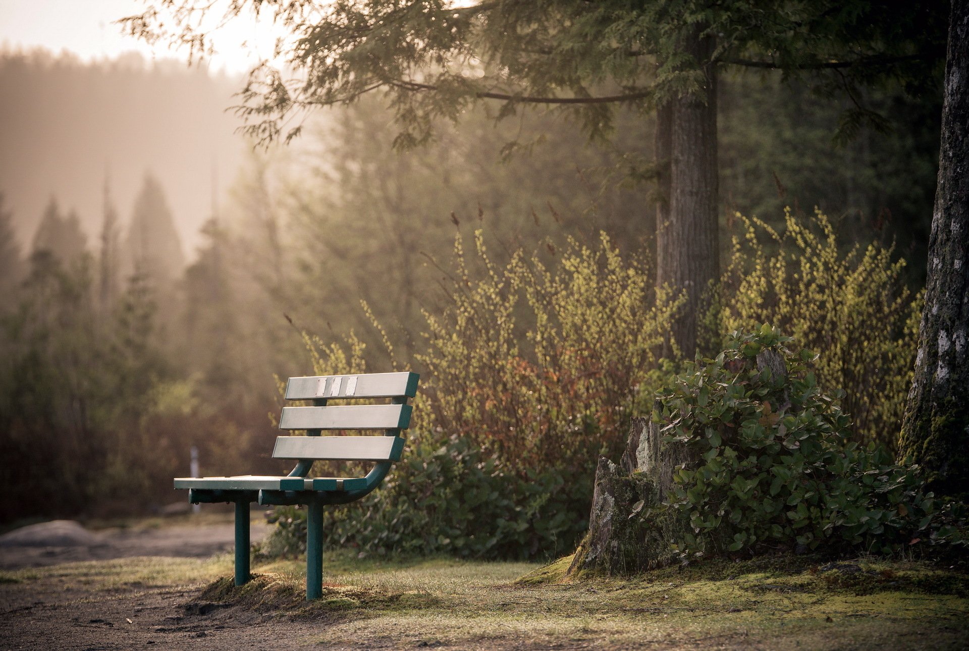 Bench HD Wallpaper