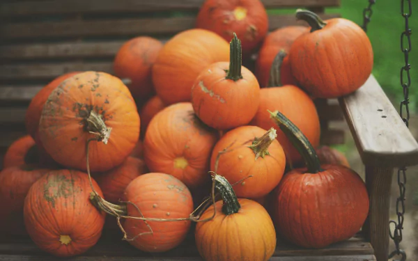 food pumpkin HD Desktop Wallpaper | Background Image
