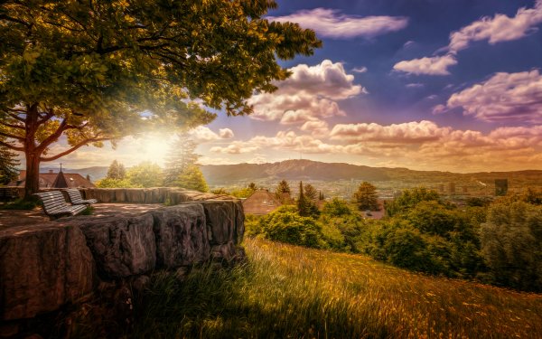 Artistic Landscape Tree Bench Sky Cloud Nature Switzerland Zurich Oil Painting HD Wallpaper | Background Image