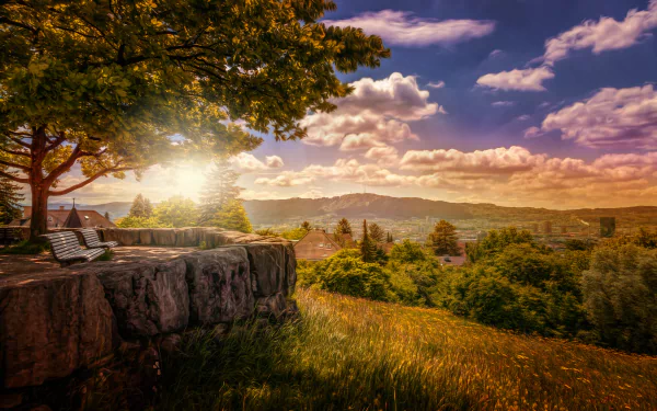 An oil painting capturing a serene landscape in Zurich, Switzerland, featuring a bench under a tree, with dramatic clouds and a vibrant sky over rolling hills and lush greenery.