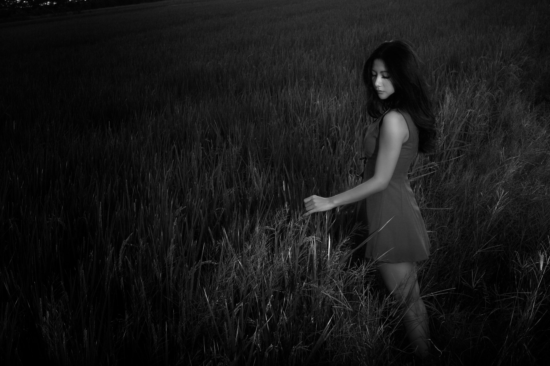 Monochrome HD wallpaper of an Asian woman in a dress standing in a field at night, looking back.