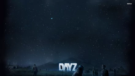 HD PC desktop wallpaper featuring a starry night sky and silhouetted figures from the video game Arma 2: DayZ Mod.