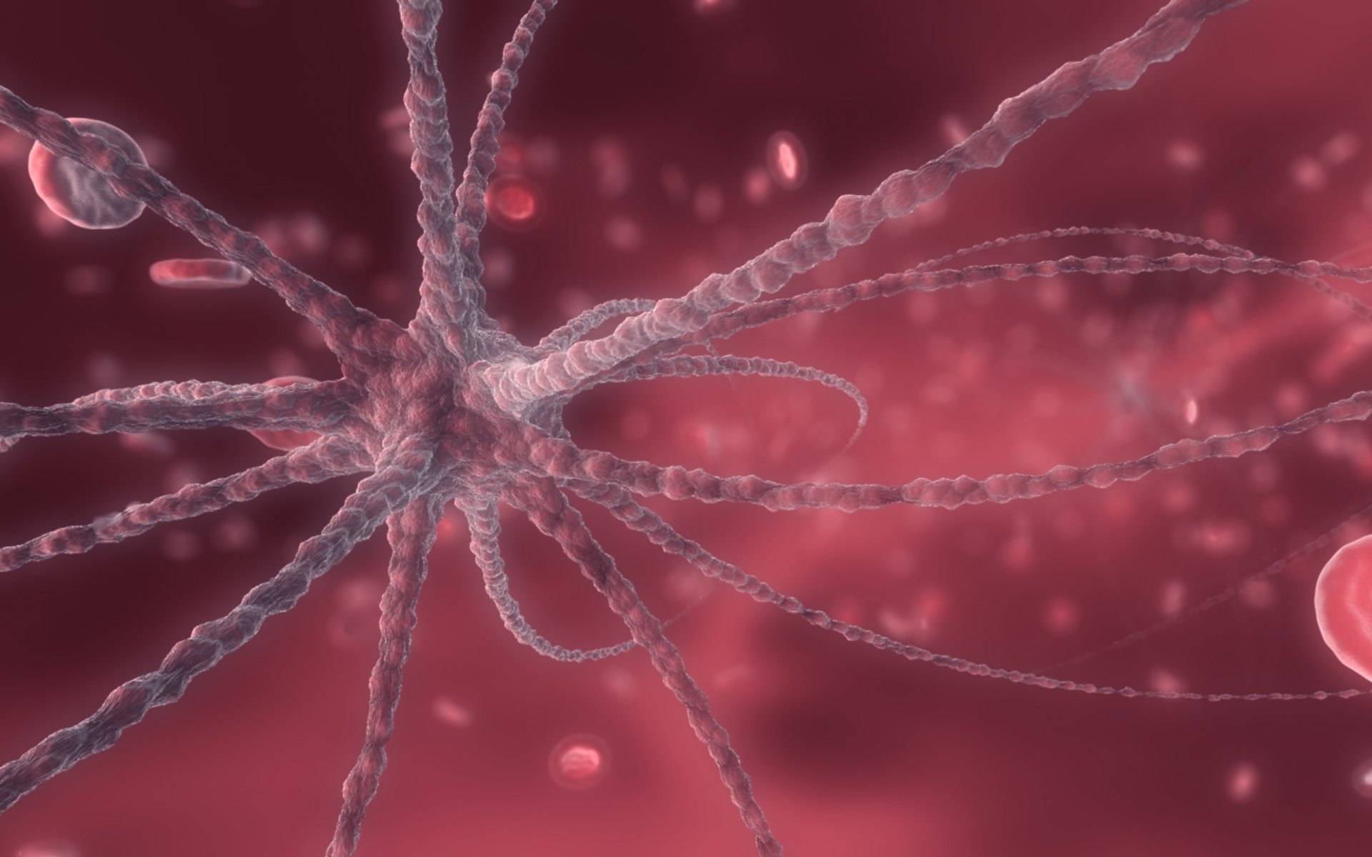 Download Artistic Neuron HD Wallpaper