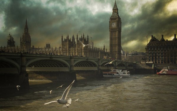 Man Made London Cities United Kingdom London Bridge Big Ben Bridge Seagull HD Wallpaper | Background Image