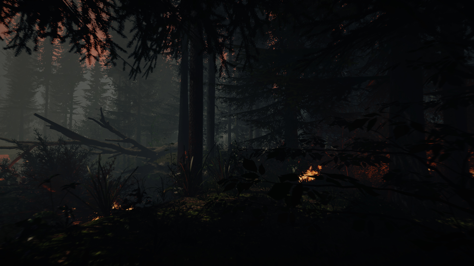 The forest game HD wallpaper  Pxfuel