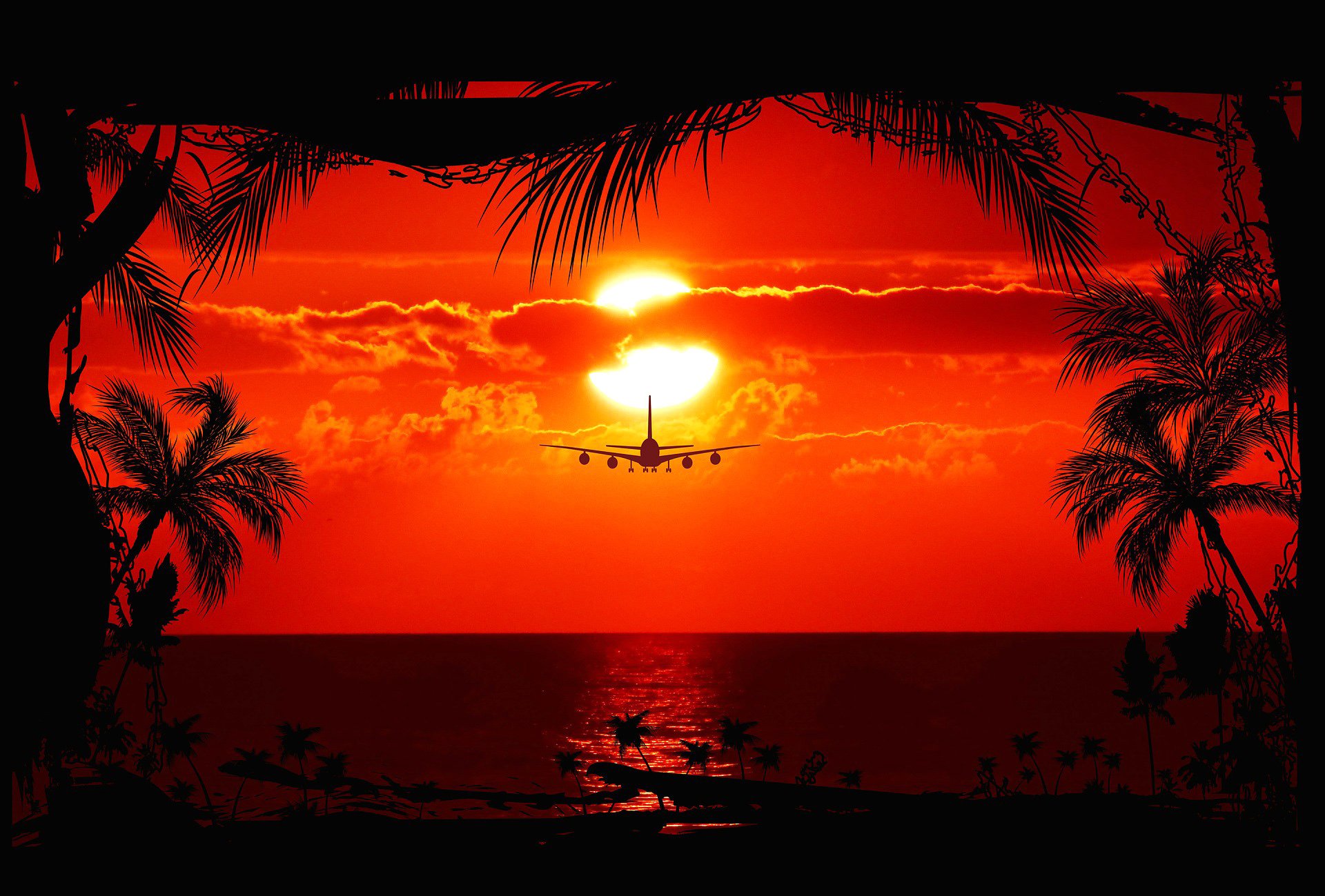 Download Evening Flight Cloud Palm Tree Airplane Nature Sunset  HD Wallpaper