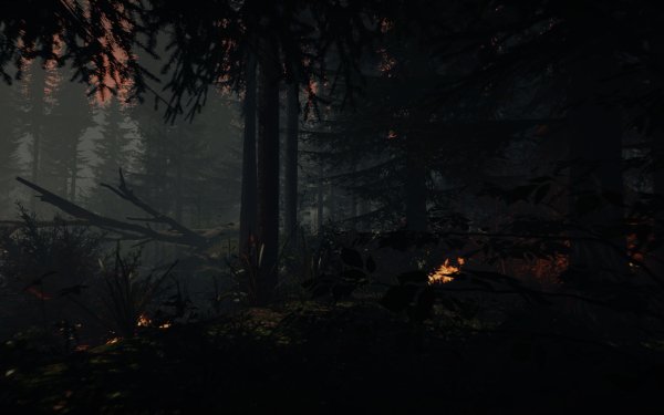 13 The Forest HD Wallpapers | Background Images - Wallpaper Abyss