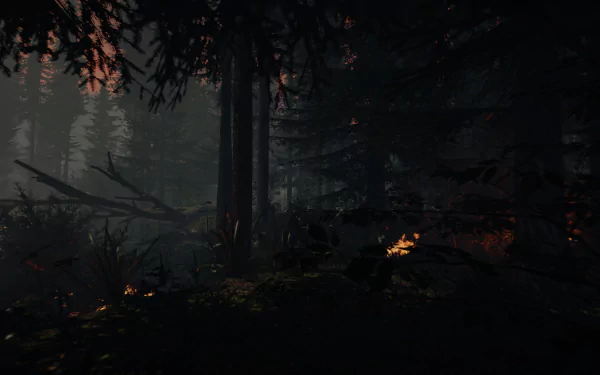 video game The Forest HD Desktop Wallpaper | Background Image
