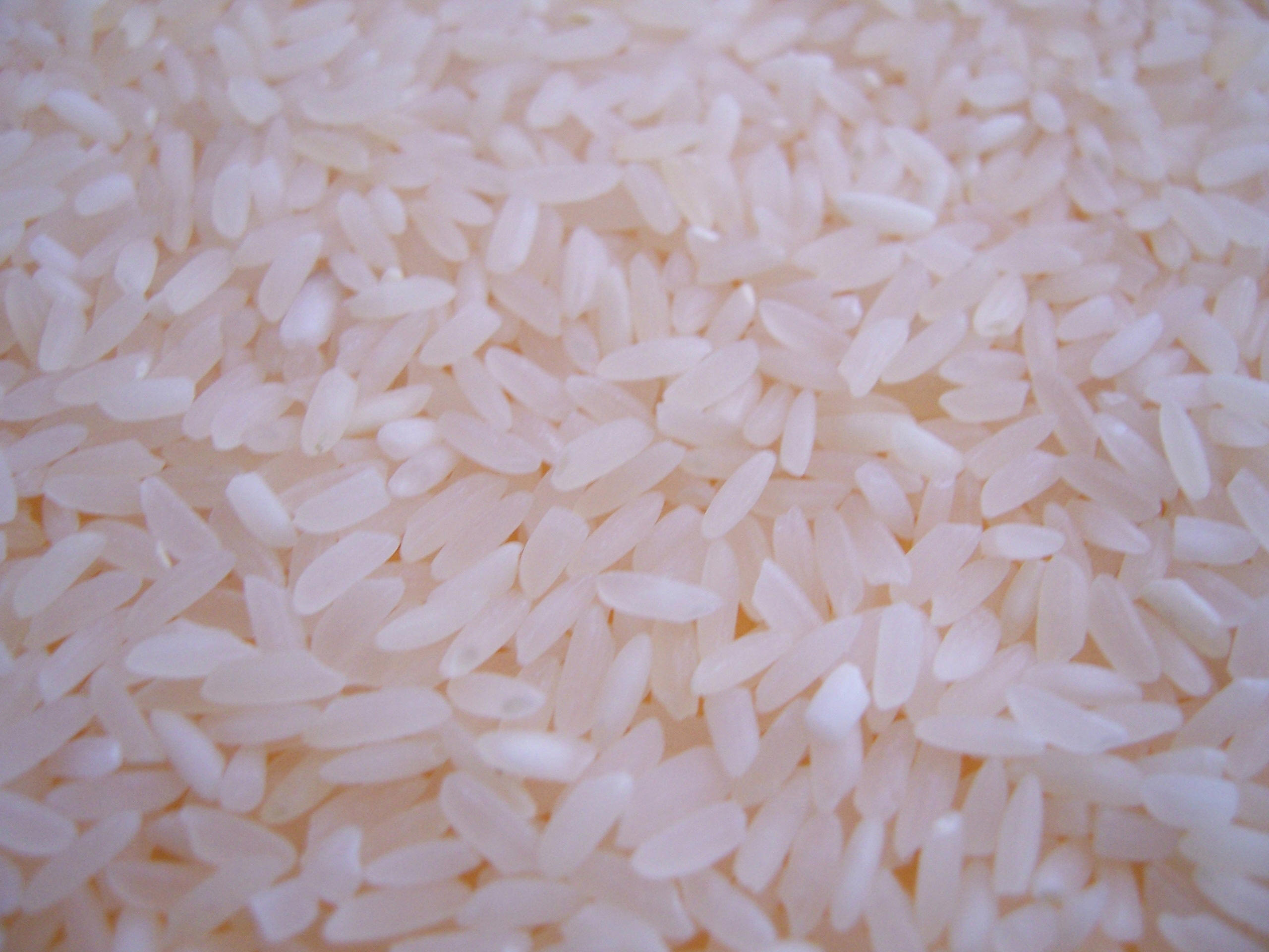 Rice HD Wallpaper | Background Image | 2560x1920