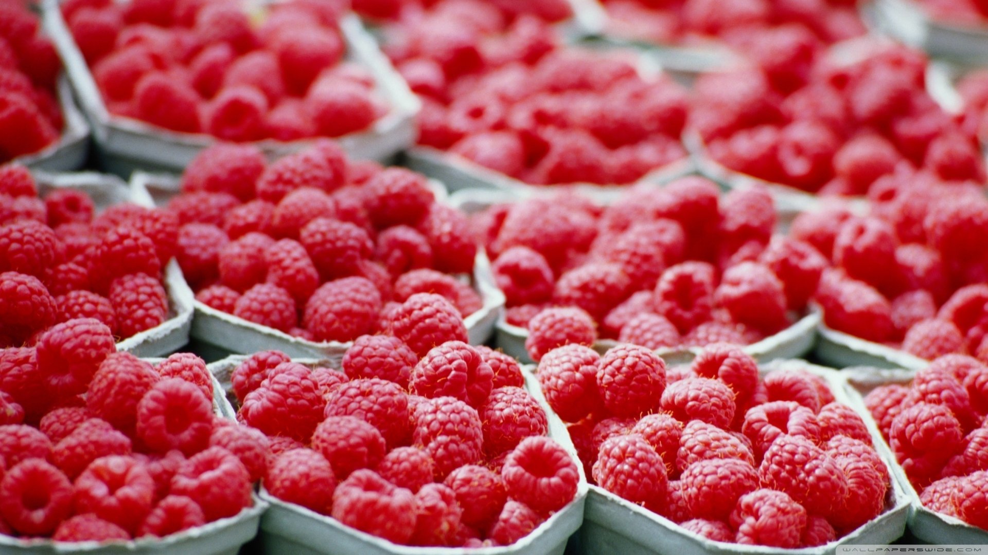 Food Raspberry HD Wallpaper