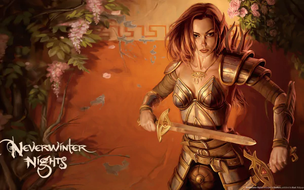 video game Neverwinter Nights HD Desktop Wallpaper | Background Image