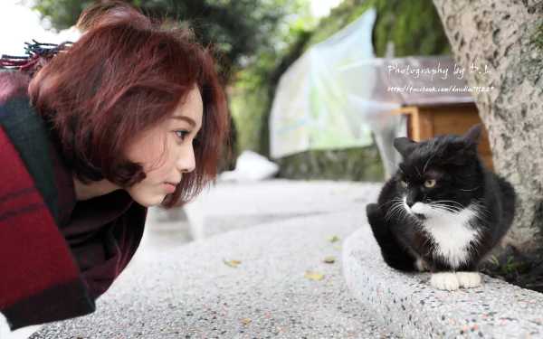 A Taiwanese woman, Lín Yǔ, interacts with a cat outdoors in a tranquil setting. This high-definition wallpaper captures a serene moment, making it a charming background.