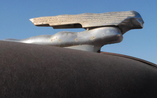 photography Hood Ornament HD Desktop Wallpaper | Background Image