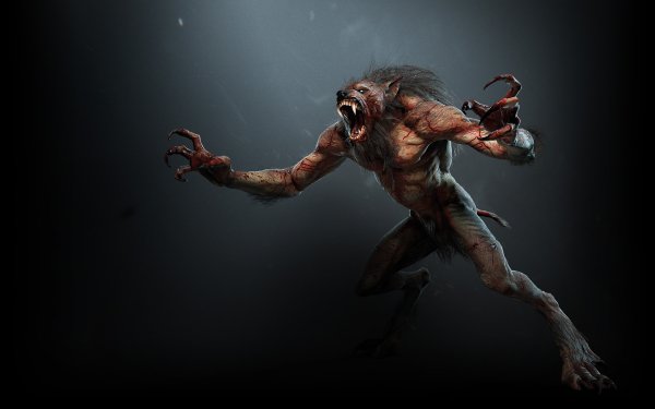 Video Game The Witcher 3: Wild Hunt The Witcher HD Wallpaper | Background Image