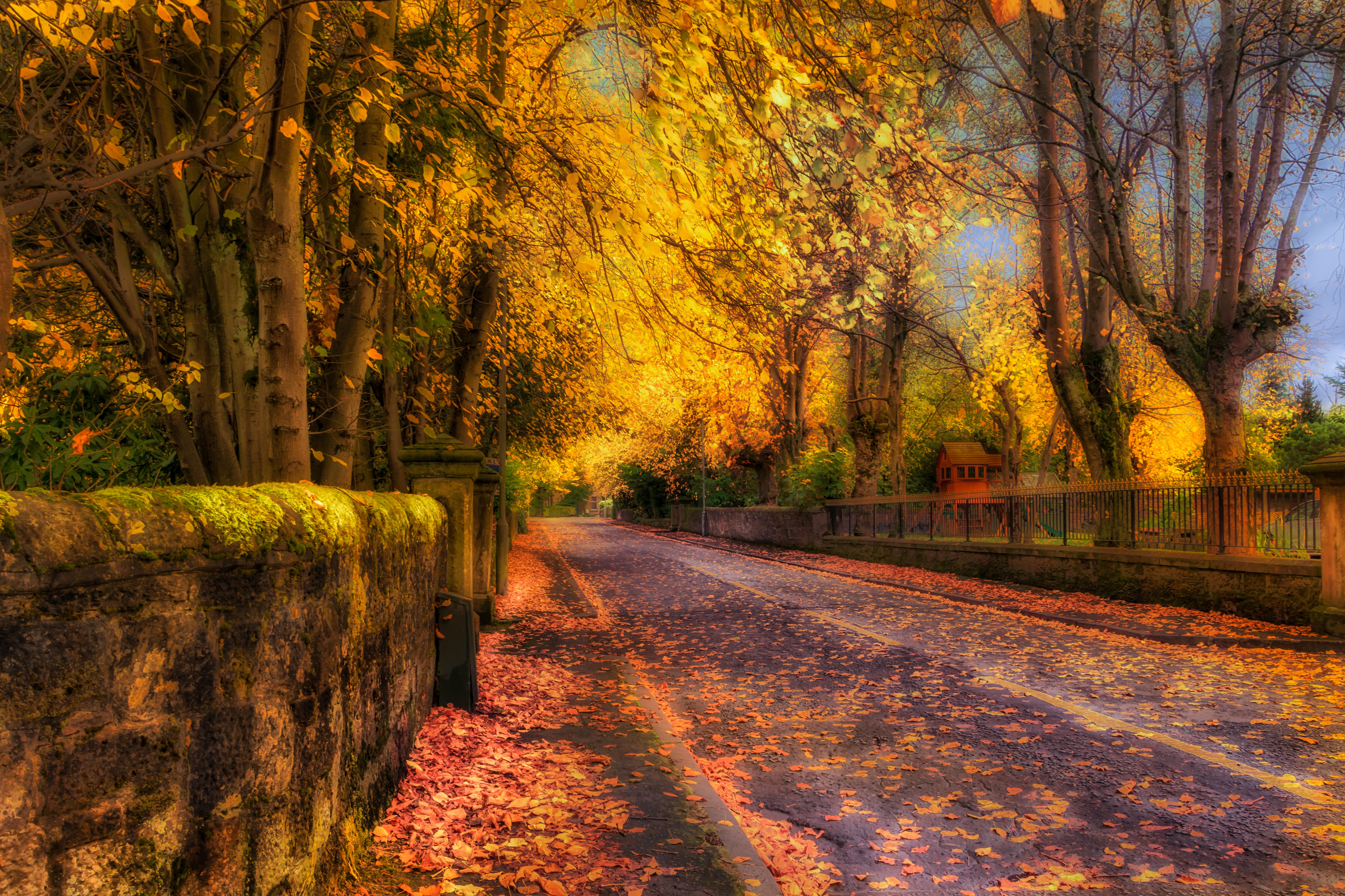  Autumn  in Lenzie 5k Retina Ultra HD Wallpaper Background  