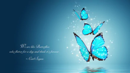 HD PC wallpaper featuring bright blue butterflies against a glowing blue background with a Carl Sagan quote: We are the butterflies who flutter for a day and think it forever.