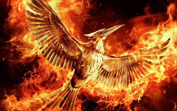 The Hunger Games movie The Hunger Games: Mockingjay - Part 2 HD Desktop Wallpaper | Background Image